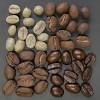 Guida Al Chicco Di Caffè Brasiliano: Tutto Ciò Che Devi Sapere